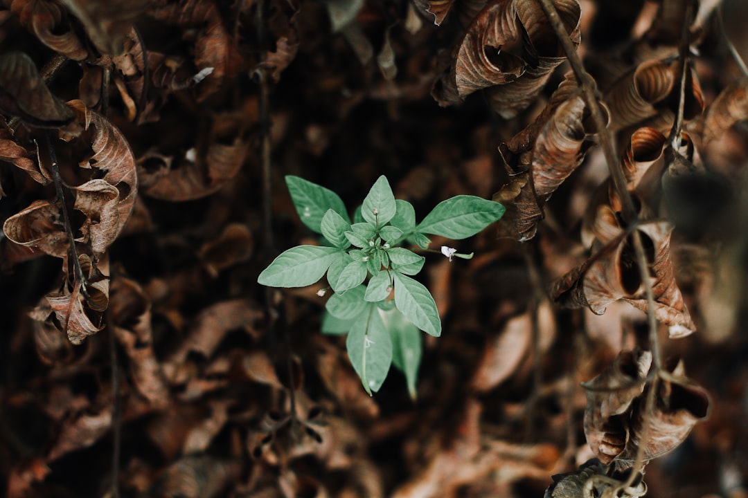 découvrez des stratégies pratiques et inspirantes pour favoriser votre croissance personnelle. apprenez à surmonter les obstacles, à développer votre confiance en vous et à réaliser vos aspirations avec des conseils et des méthodes éprouvées.