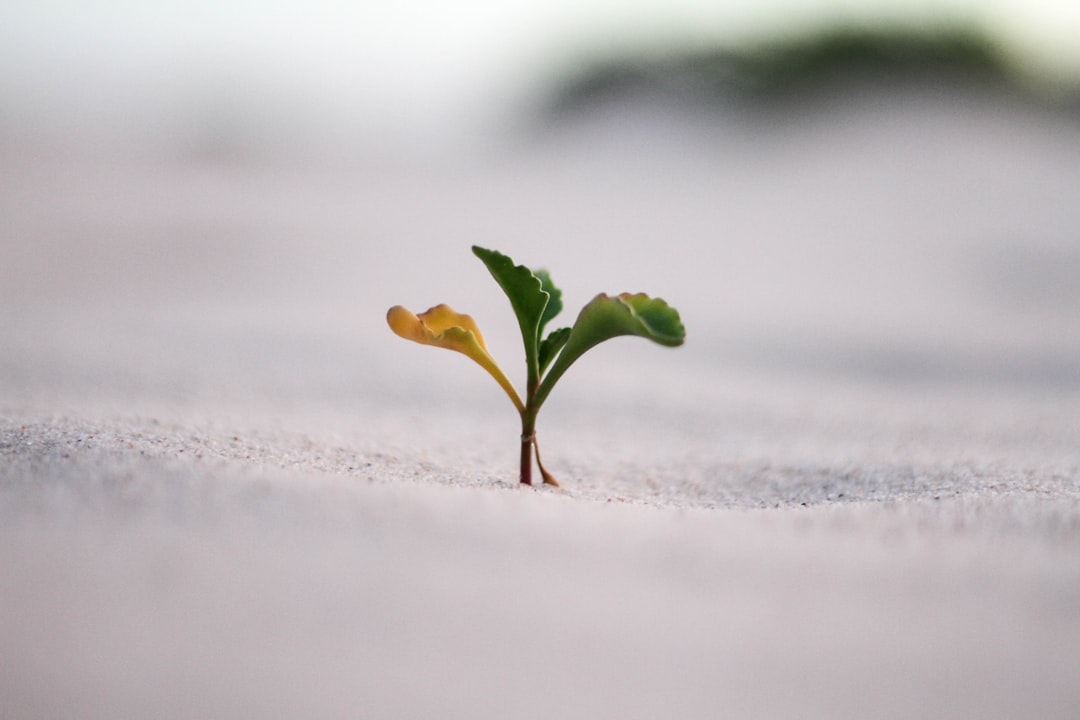 découvrez des stratégies efficaces pour le développement personnel, améliorez votre confiance en vous et atteignez vos objectifs de vie. inspirez-vous et transformez votre quotidien.