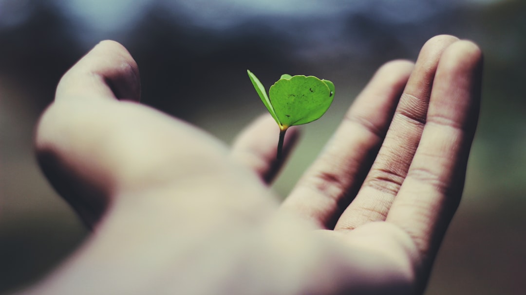 découvrez le projet de vie partagé, une initiative innovante qui encourage la collaboration et l'entraide entre individus. ce concept unique favorise le partage d'expériences, de ressources et de compétences pour construire ensemble un avenir plus solidaire et harmonieux.