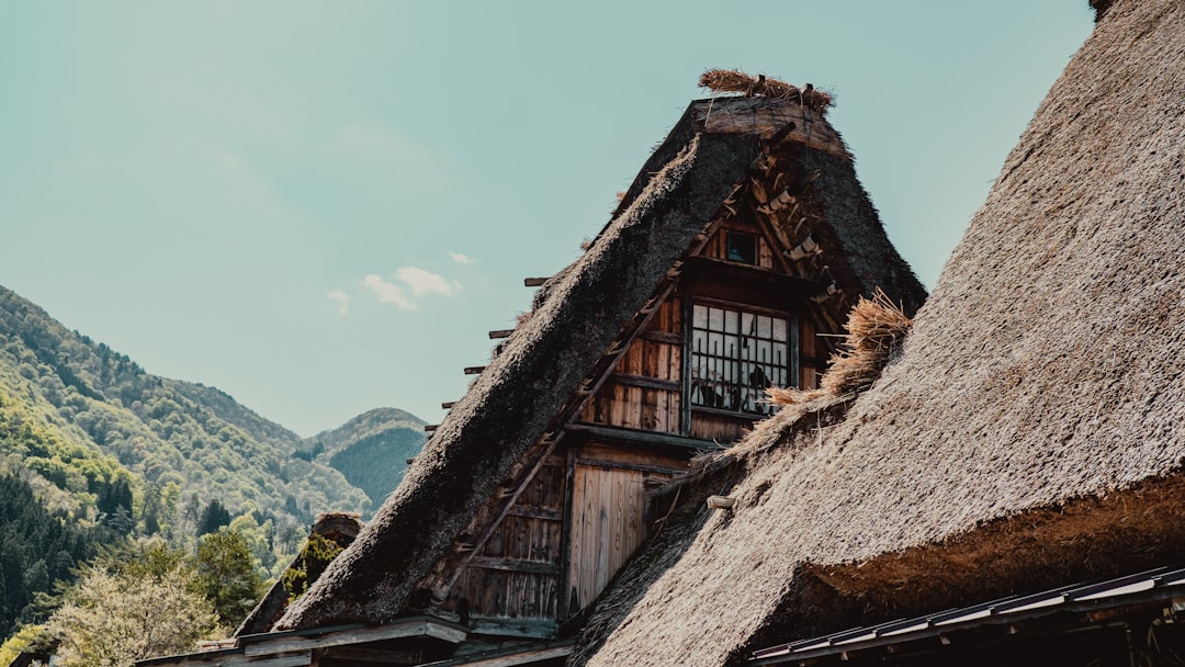 découvrez le monde fascinant des documentaires, où la réalité prend vie à travers des histoires captivantes et des thèmes variés. explorez des sujets qui éveillent la curiosité et enrichissent vos connaissances tout en vous divertissant.